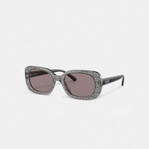 Coach Badge Rounded Square Sunglasses グレー | COH866369