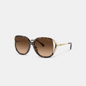Coach Bandit Oversized Square Sunglasses ゴールド | COH866384