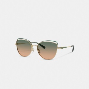 Coach Bandit Wire Oval Sunglasses 緑 黄色 | COH866349