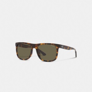 Coach Beveled Signature Flat Top Square Sunglasses ブラウン | COH867062