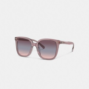 Coach Beveled Signature Oversized Square Sunglasses ピンク | COH866399