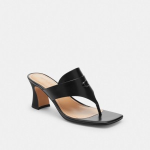Coach Bree Sandal 黒 | COH865866
