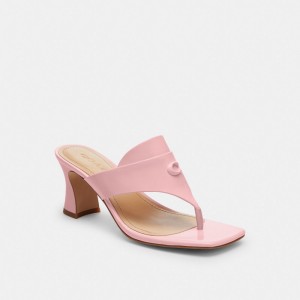 Coach Bree Sandal ピンク | COH865883
