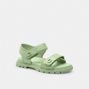 Coach Brynn Sandal マスタード | COH865898