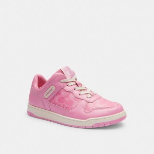 Coach C201 Low Top Sneaker In Signature Canvas ピンク | COH865844