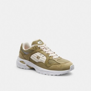 Coach C301 Sneaker マスタード | COH865836