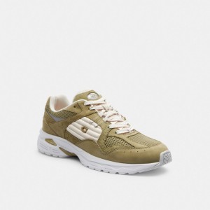 Coach C301 Sneaker マスタード | COH866782