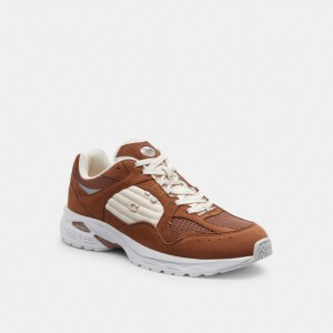 Coach C301 Sneaker ブラウン | COH866793