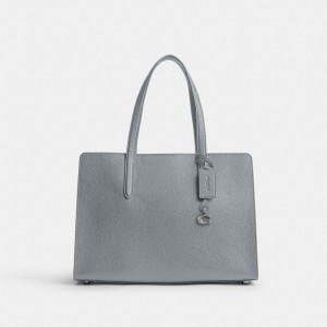 Coach Carter Carryall Bag シルバー グレー 青 | COH865053