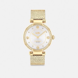 Coach Cary Watch, 34 Mm ゴールド | COH866248