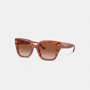 Coach Charms Oversized Square Sunglasses ブラウン | COH866328