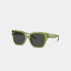 Coach Charms Oversized Square Sunglasses 緑 | COH866383