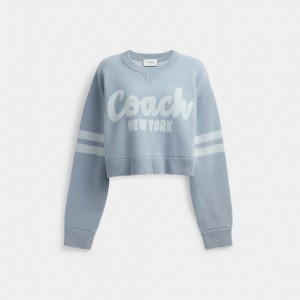 Coach Cropped Sweater 青 | COH865947