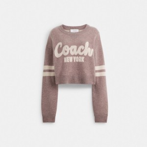Coach Cropped Sweater ピンク | COH865984