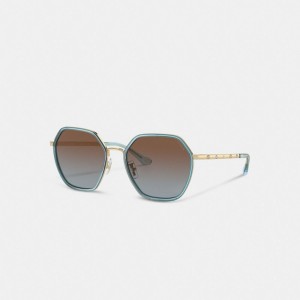 Coach Embellished Narrow Metal Hexagon Sunglasses 青 | COH866323