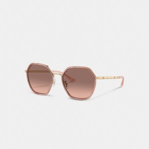Coach Embellished Narrow Metal Hexagon Sunglasses ピンク | COH866326