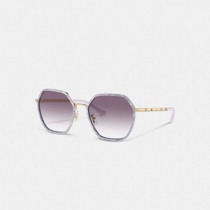 Coach Embellished Narrow Metal Hexagon Sunglasses 紫 | COH866347