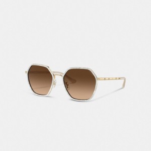 Coach Embellished Narrow Metal Hexagon Sunglasses ブラウン | COH866379
