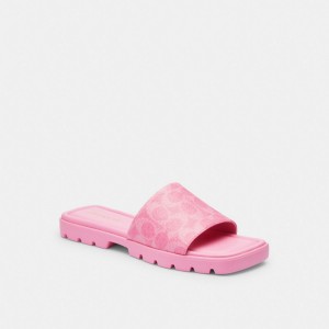 Coach Florence Sandal In Signature Canvas ピンク | COH865868