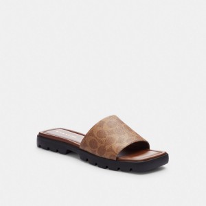 Coach Florence Sandal In Signature Canvas カーキ 暗 | COH865887