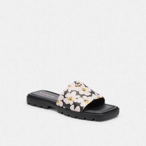 Coach Florence Sandal With Floral Print カラー | COH865889
