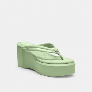 Coach Franki Flip Flop In Signature Jacquard マスタード | COH865848