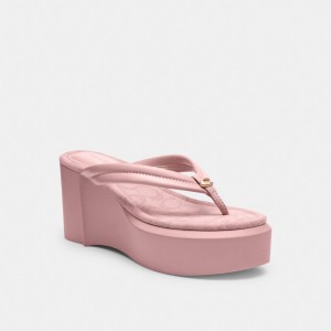 Coach Franki Flip Flop In Signature Jacquard ライトピンク | COH865875