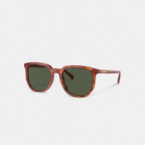 Coach Geometric Square Sunglasses 緑 | COH867059