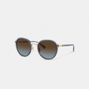 Coach Hangtag Geometric Round Sunglasses ブラウン 青 グレー | COH866324
