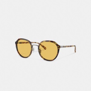 Coach Hangtag Geometric Round Sunglasses オレンジ | COH866360