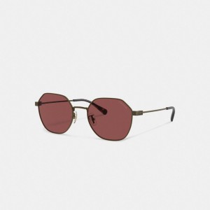 Coach Hinged Geometric Round Sunglasses ゴールド ボルドー | COH867066