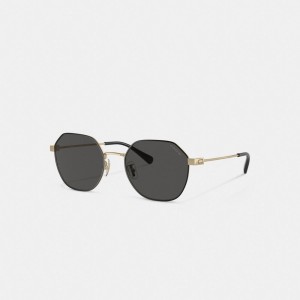 Coach Hinged Geometric Round Sunglasses ゴールド 黒 | COH867080