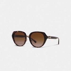 Coach Horse And Carriage Oversized Round Sunglasses ブラウン | COH866376