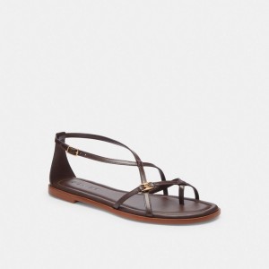 Coach Jenni Sandal チョコレート | COH865861