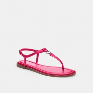 Coach Jessica Sandal ピンク | COH865849