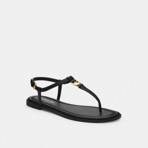 Coach Jessica Sandal 黒 | COH865877