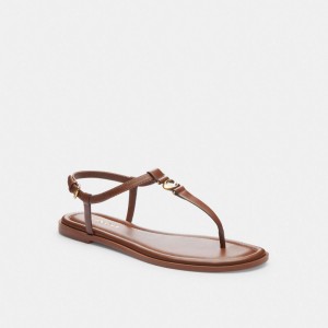 Coach Jessica Sandal ブラウン | COH865902