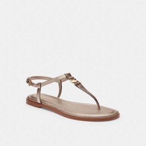 Coach Jessica Sandal メタリック メタリック | COH865903