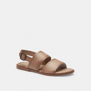 Coach Julian Two Strap Sandal グレー ブラウン | COH866846