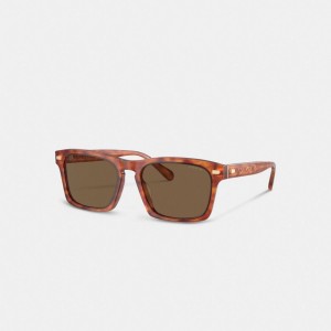 Coach Keyhole Square Sunglasses ブラウン | COH867072