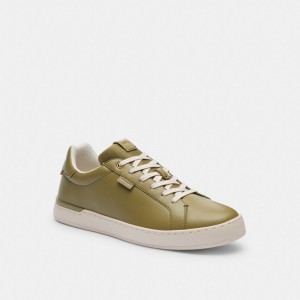 Coach Lowline Low Top Sneaker マスタード | COH866813