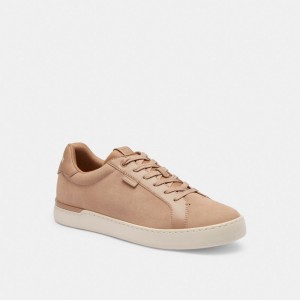 Coach Lowline Low Top Sneaker グレー ブラウン | COH866817