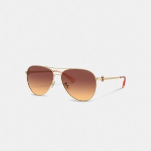 Coach Metal Aviator Sunglasses 暗ブラウン | COH866377