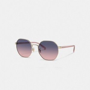 Coach Metal Hexagon Sunglasses 紫 ピンク | COH866356