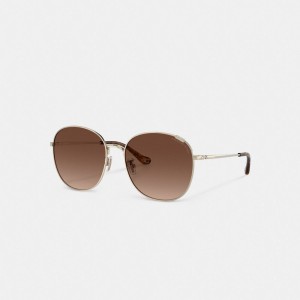 Coach Metal Round Sunglasses ブラウン | COH866365