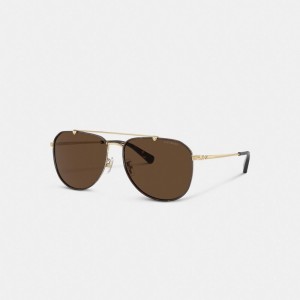Coach Metal Windsor Pilot Sunglasses 暗ブラウン | COH867057