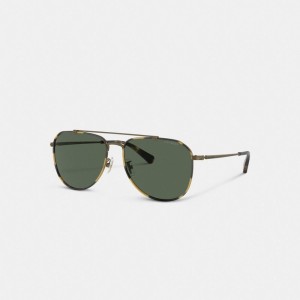 Coach Metal Windsor Pilot Sunglasses ゴールド | COH867078