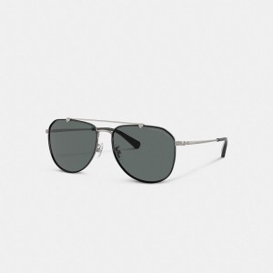 Coach Metal Windsor Pilot Sunglasses 黒 グレー | COH867081