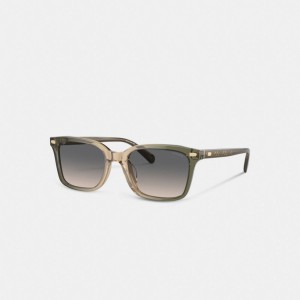 Coach Narrow Square Sunglasses 緑 ブラウン | COH867083