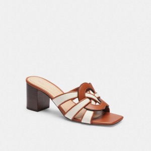 Coach Nikki Sandal カラー | COH865885